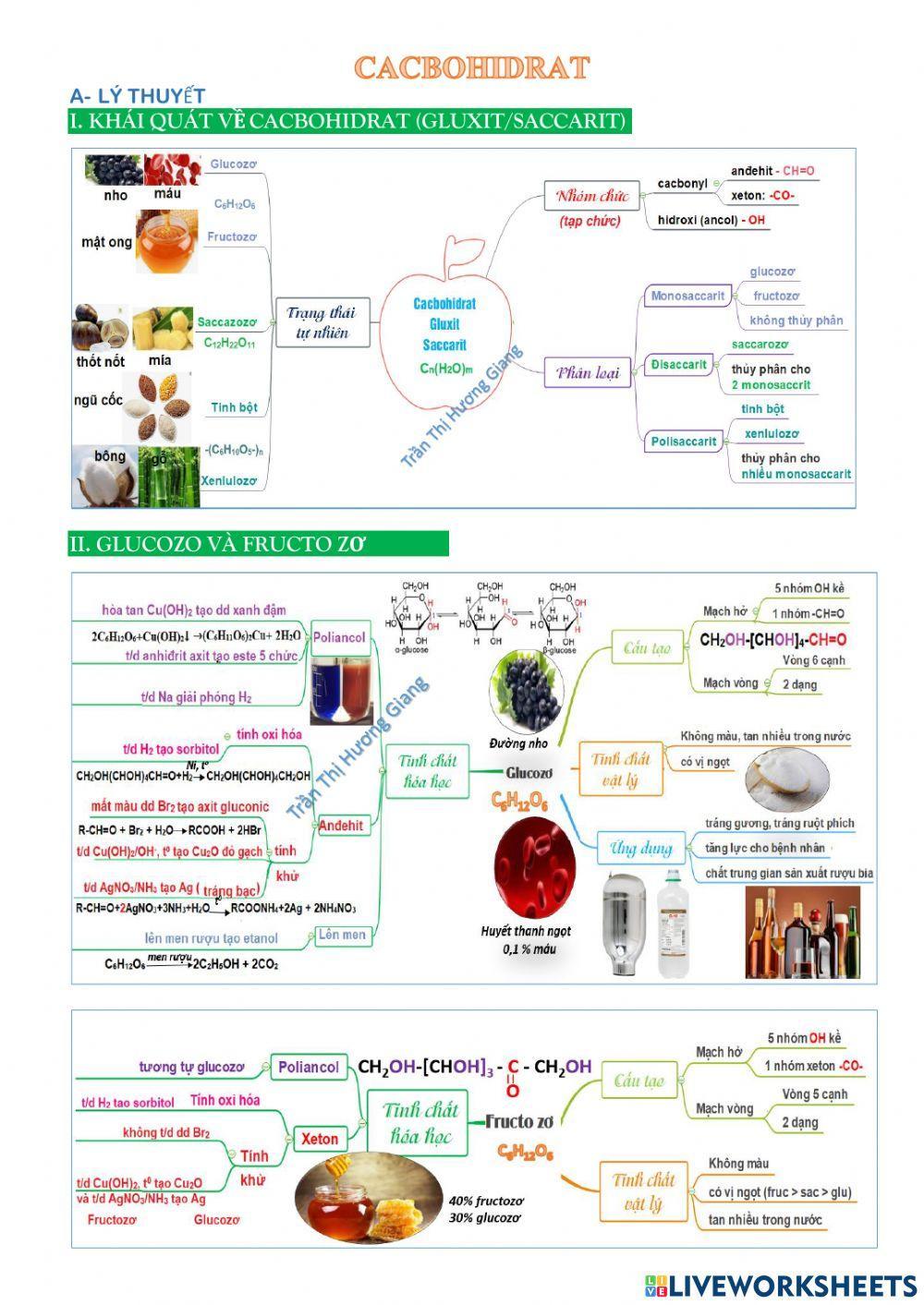 Sơ đồ tư duy cacbohidrat
