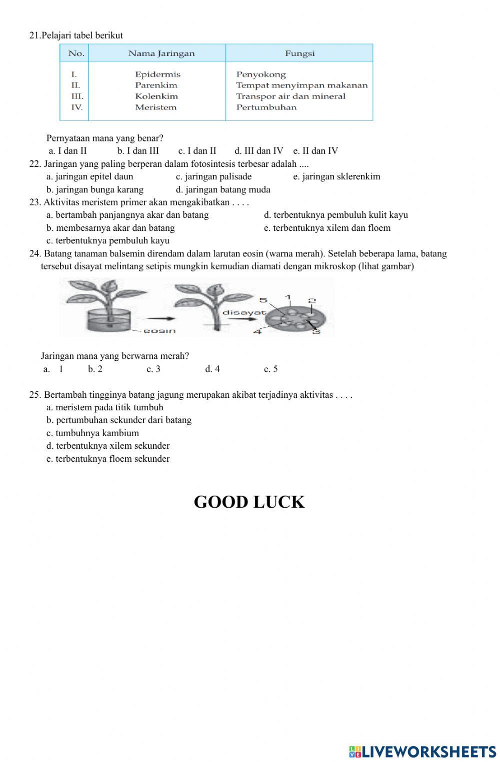 Soal Latihan Biologi Peminatan