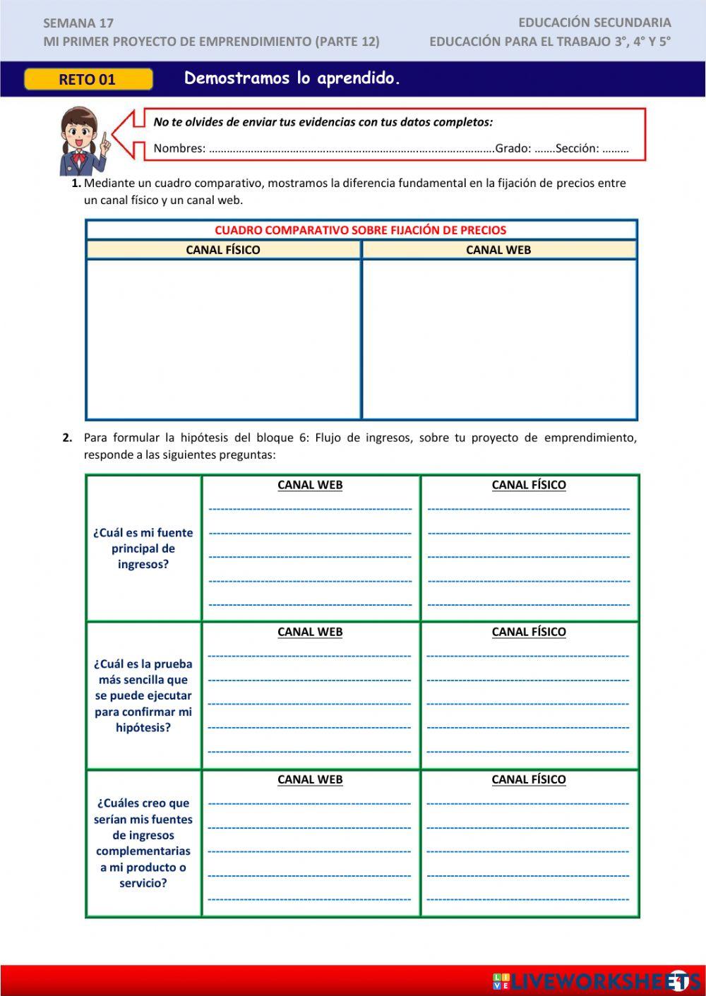 Mi primer -proyecto de emprendimiento xii
