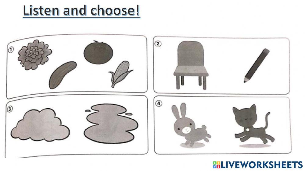 connect plus kg1 term1 revision  