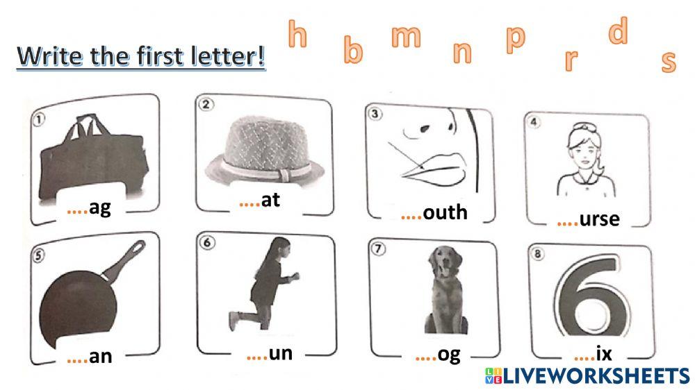 connect plus kg1 term1 revision  