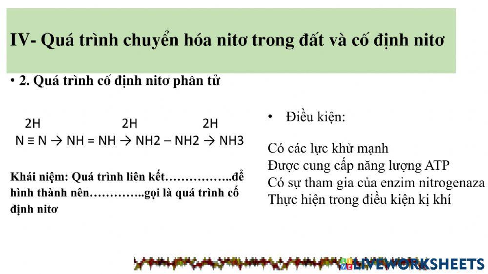 Tiết 6: Chủ đề dinh dưỡng nitơ ở thực vật