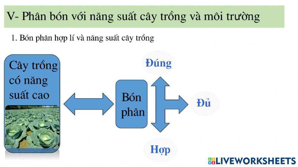 Tiết 6: Chủ đề dinh dưỡng nitơ ở thực vật