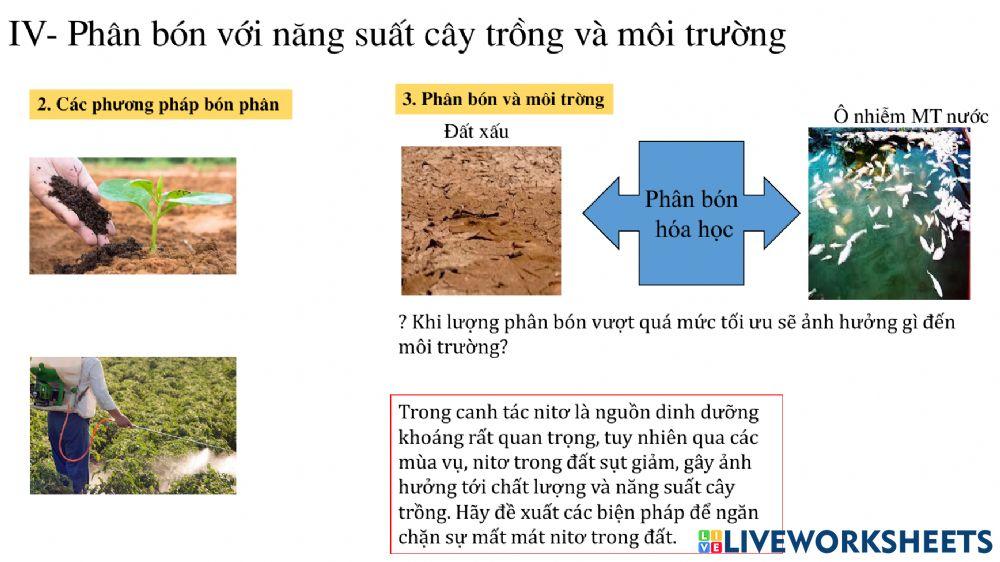 Tiết 6: Chủ đề dinh dưỡng nitơ ở thực vật