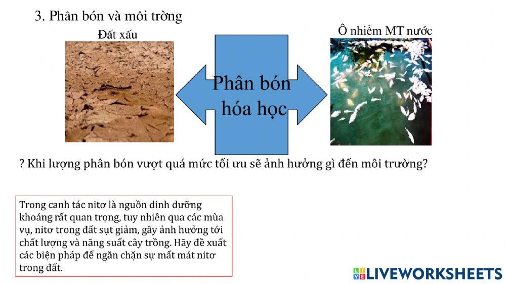 Tiết 6: Chủ đề dinh dưỡng nitơ ở thực vật