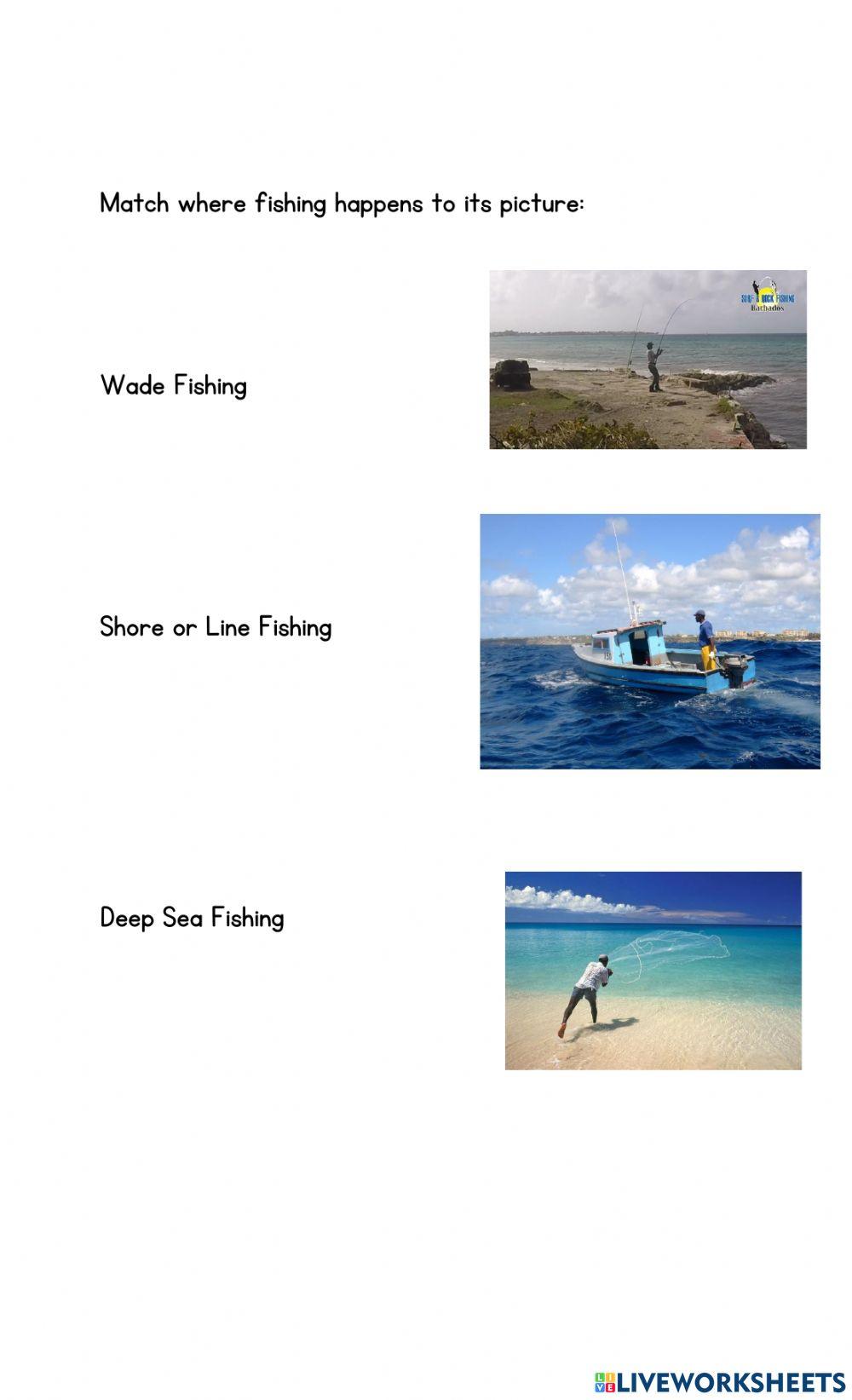 What Fishermen use and Where they fish