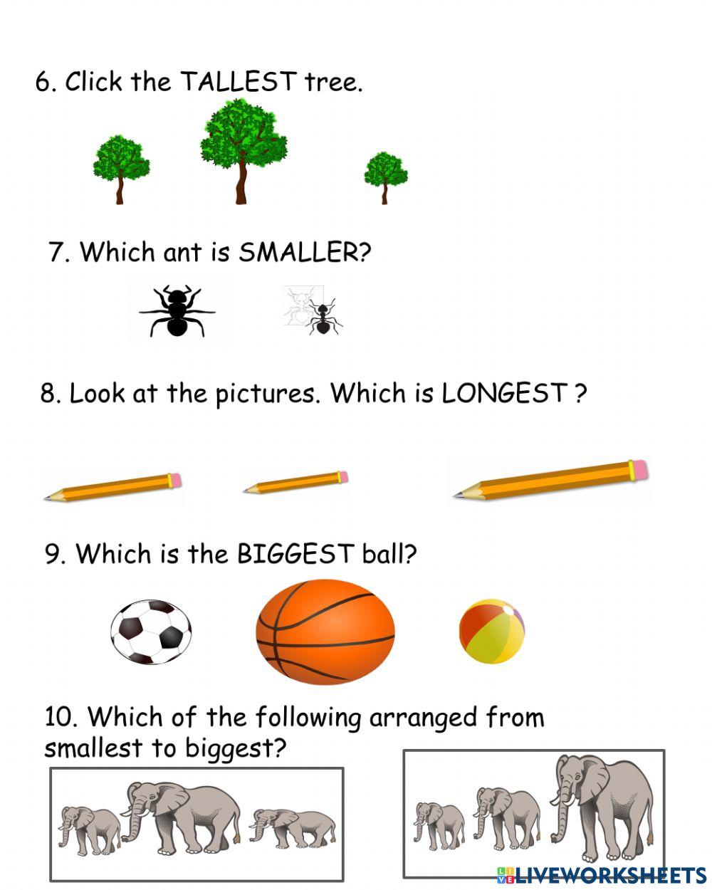 Math 1st term assessment