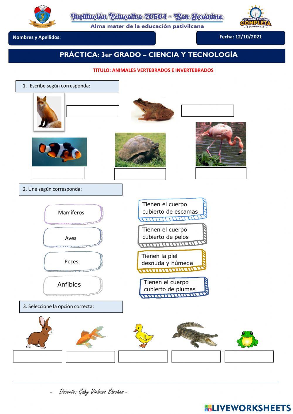 Manejo del Liveworksheets