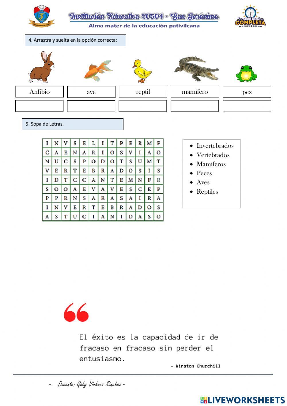 Manejo del Liveworksheets