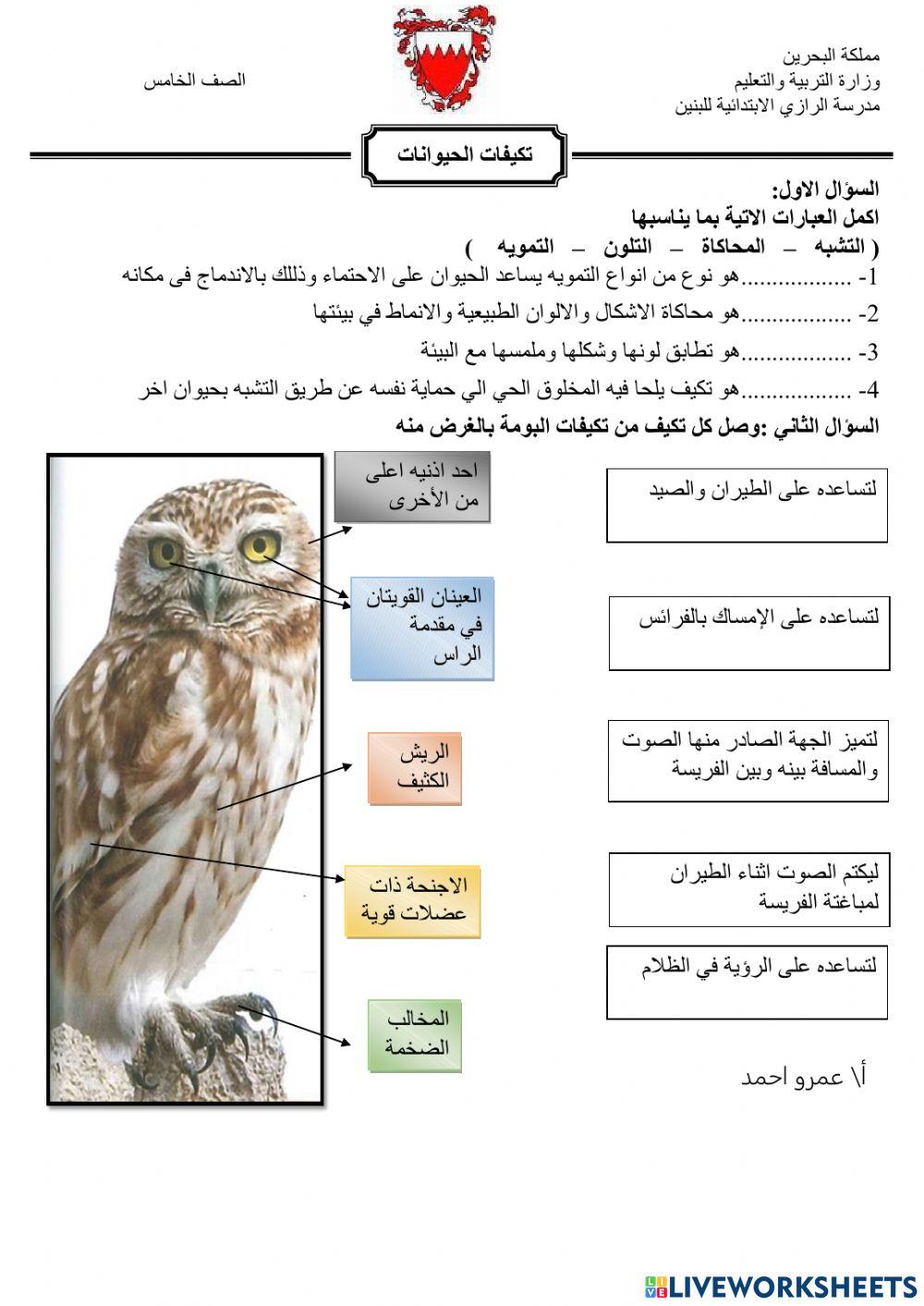 تكيفات الحيوانات