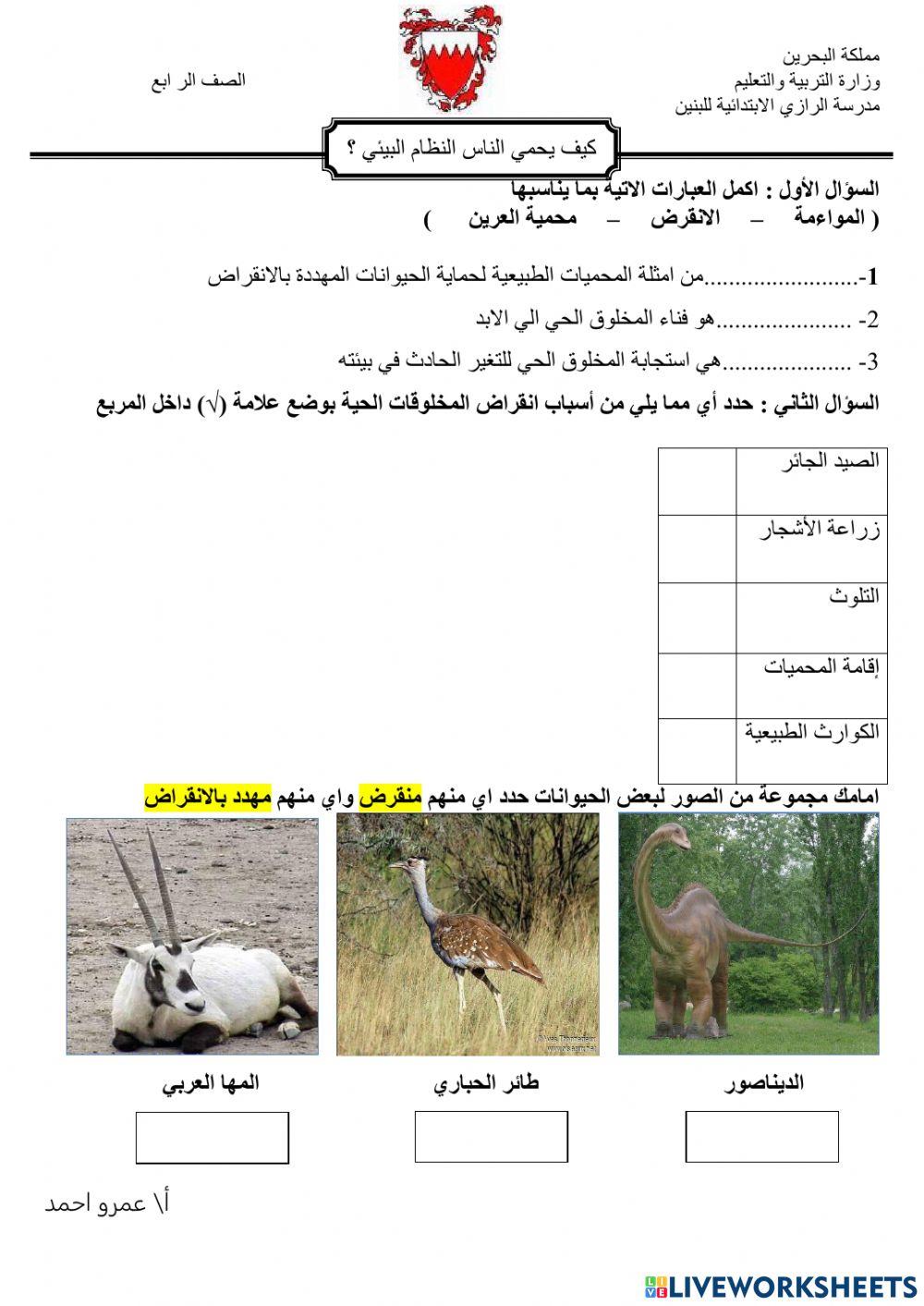 كيف يحمي الناس النظام البيئي ؟