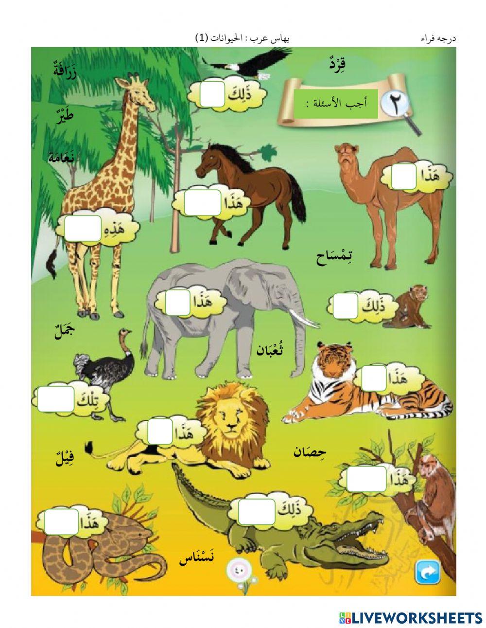 121021 الحيوانات (1)