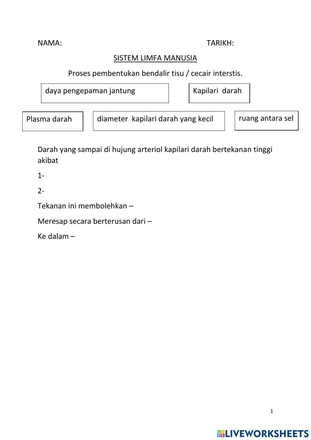 Sistem limfa bio tg 4