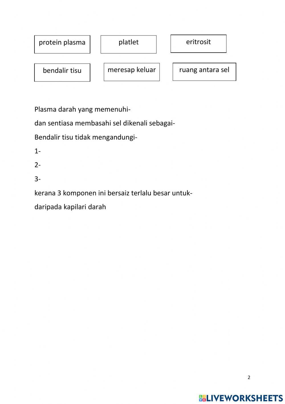 Sistem limfa bio tg 4
