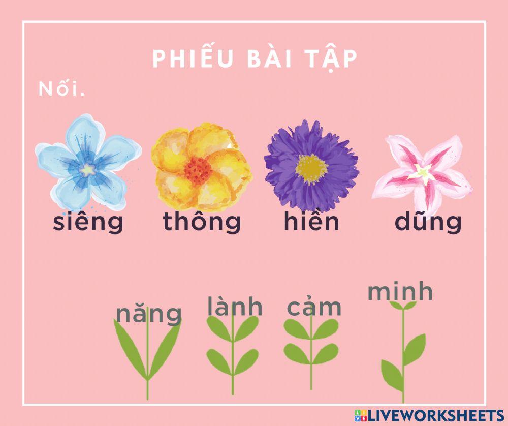 Luyện từ và luyện câu