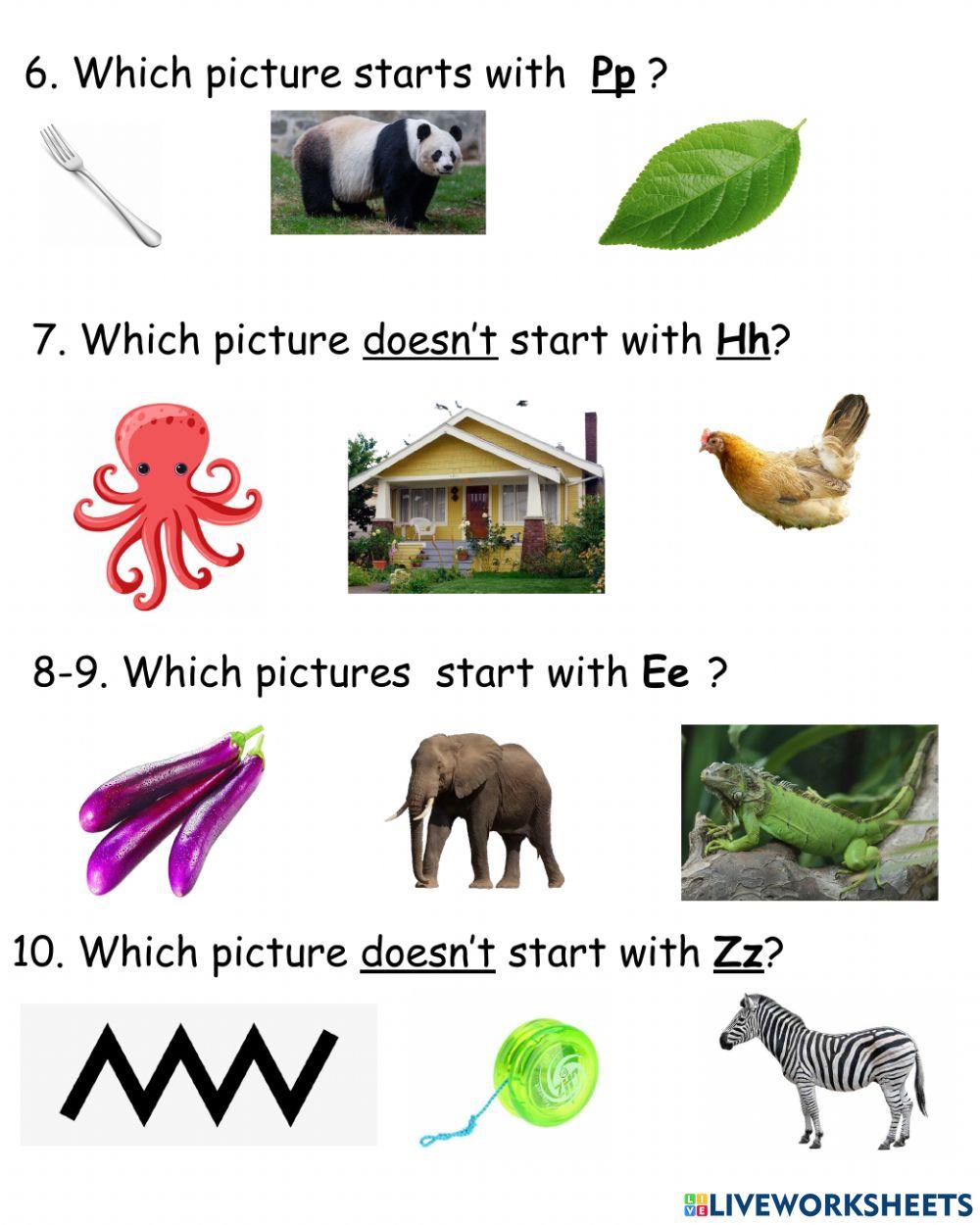 Phonics-1st term assess