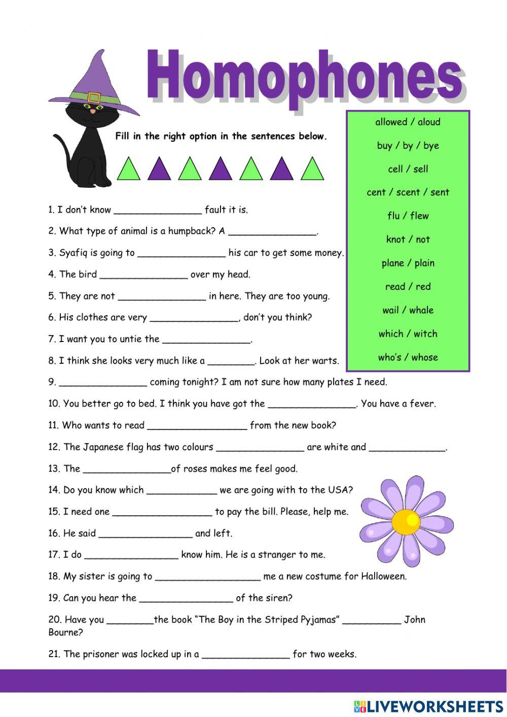 vocabulary - homonyms online exercise for | Live Worksheets