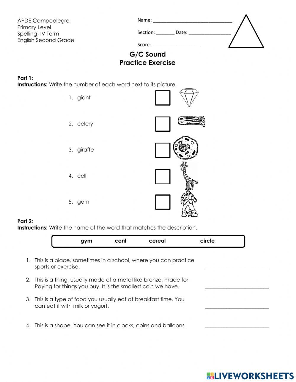 Words with g and c practice exercise