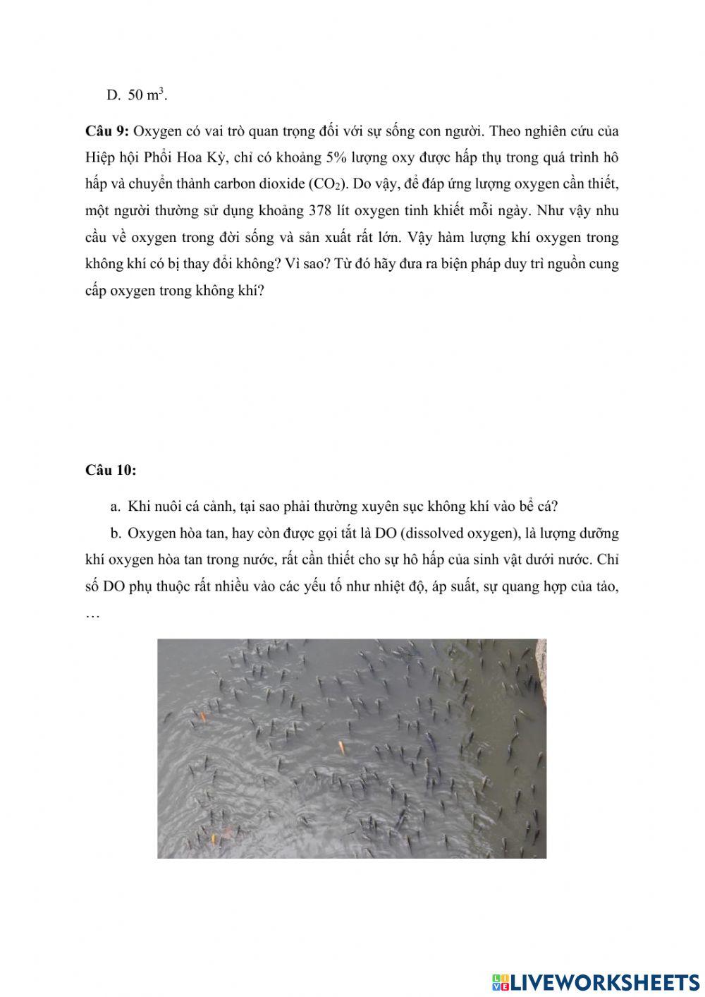 Oxygen và không khí