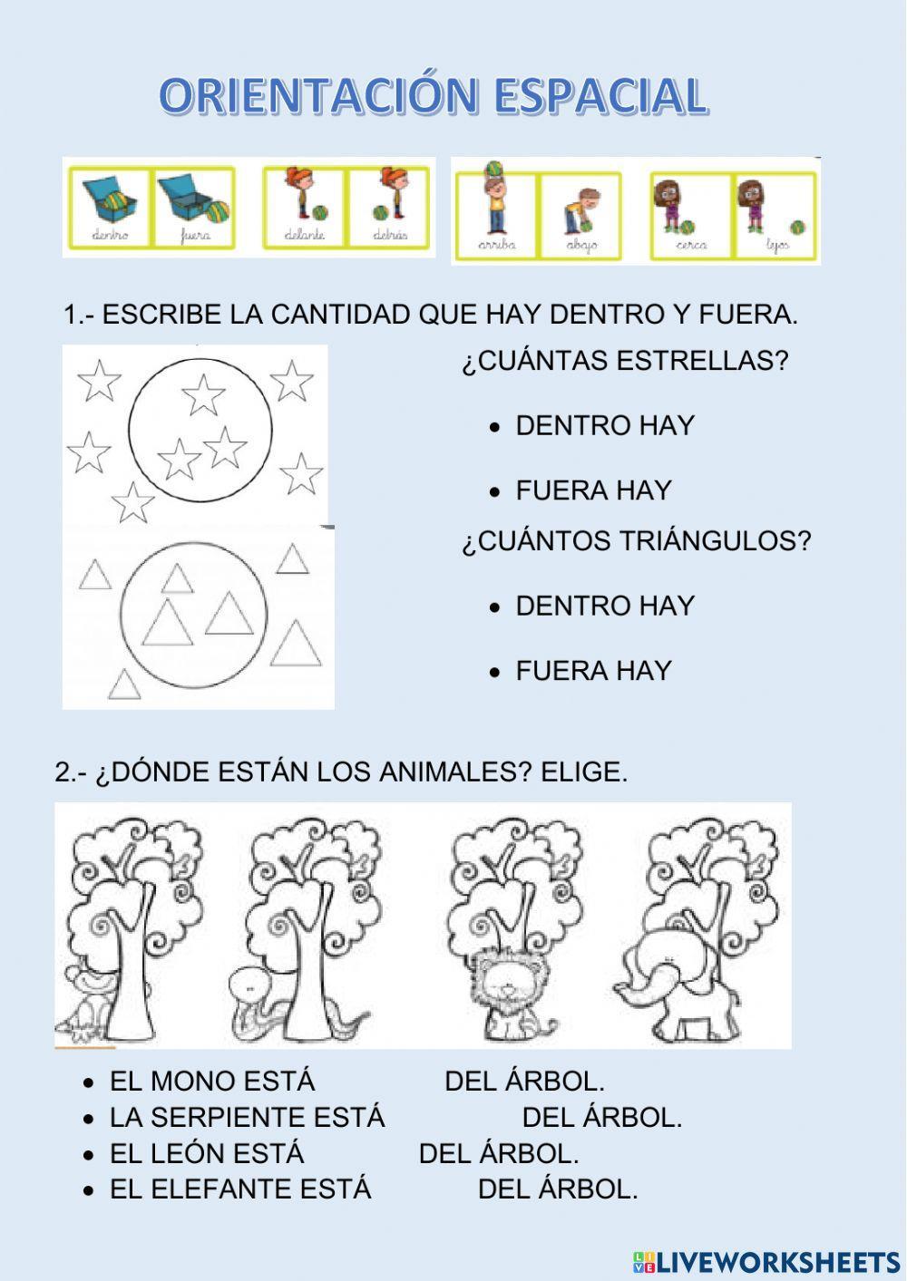 Orientación espacial