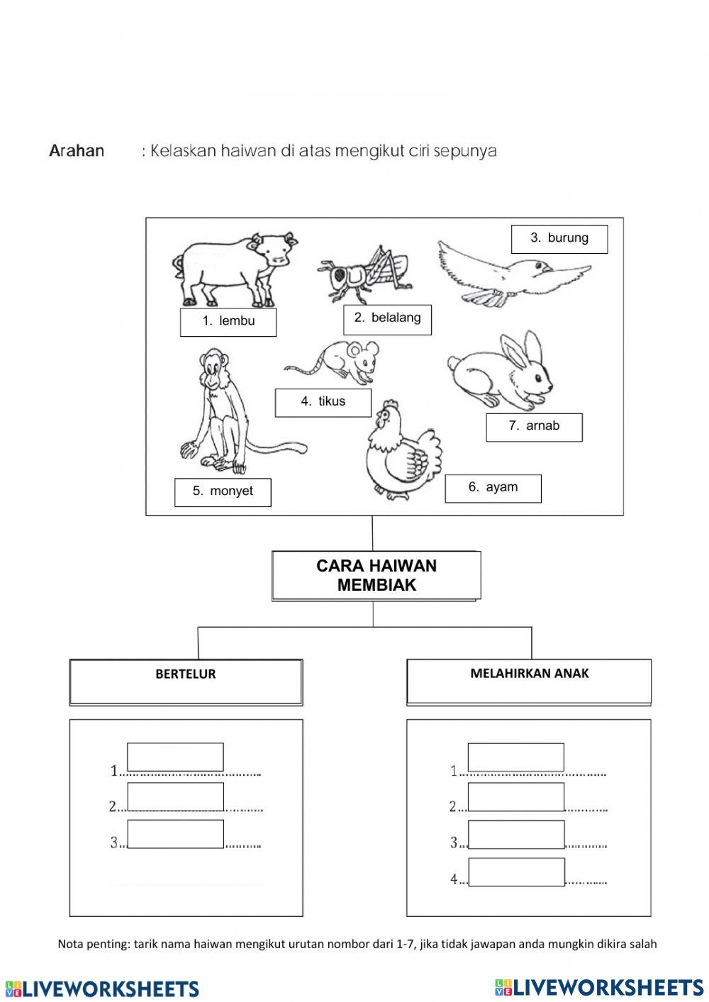 Memerhati, Mengels & Mengukur dan Menggunakan Nombor