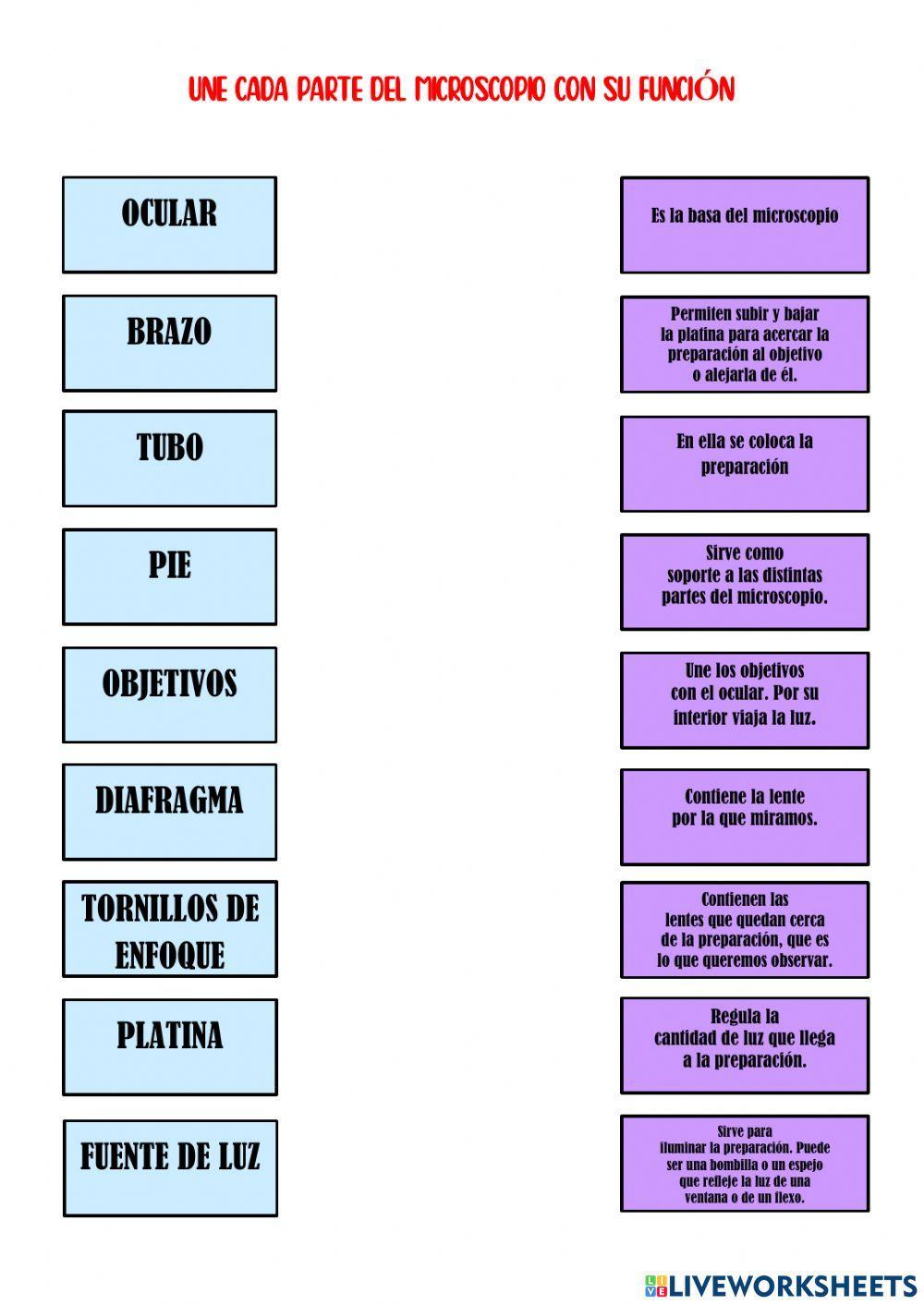 Partes del microscopio