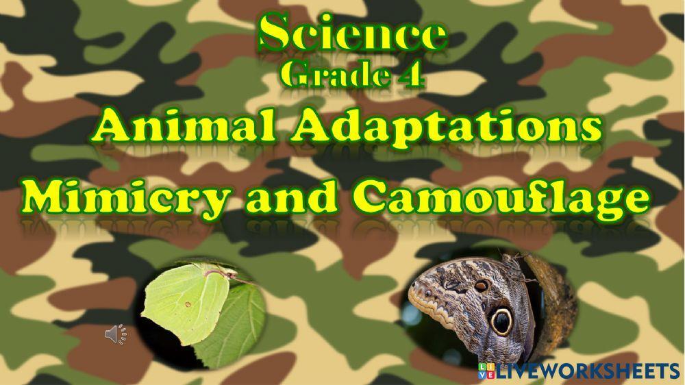 Animals Adaptation worksheet | Live Worksheets
