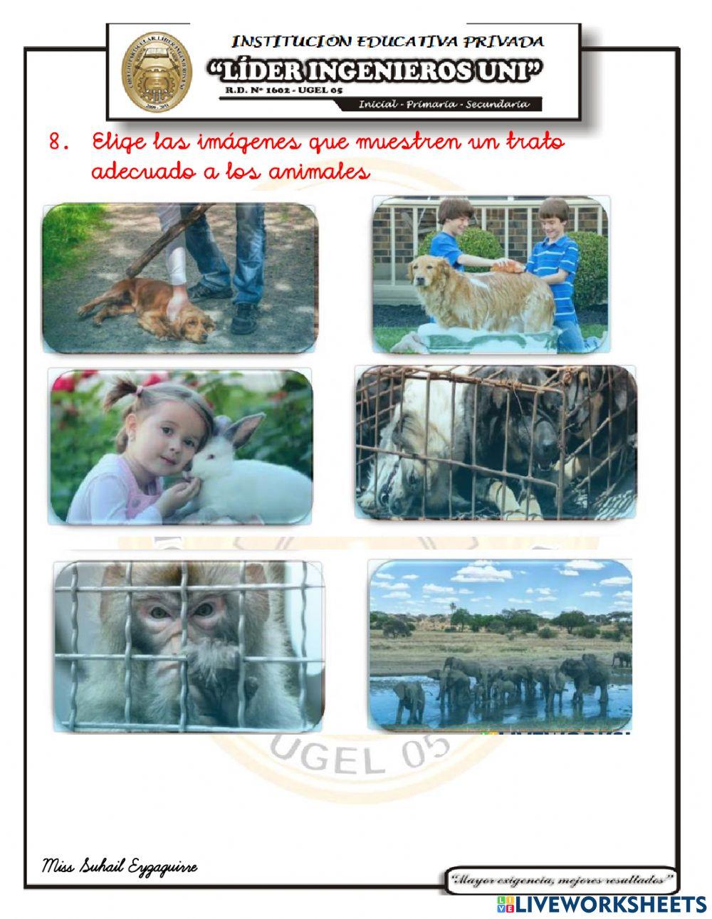 Examen mensual vi unidad ciencia y ambiente Examen mensual vi unidad ciencia y ambiente