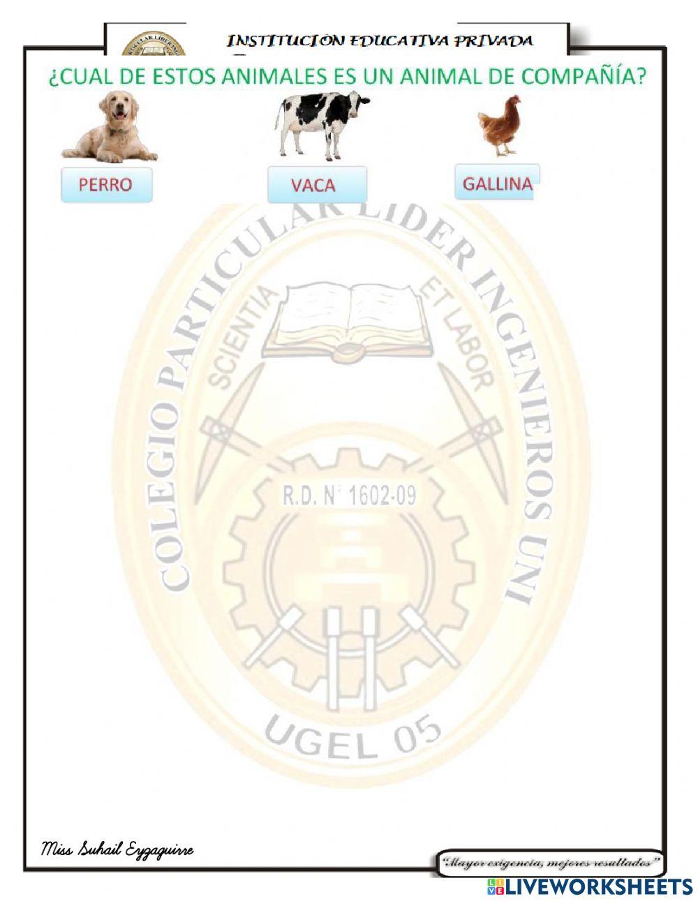 Examen mensual vi unidad ciencia y ambiente