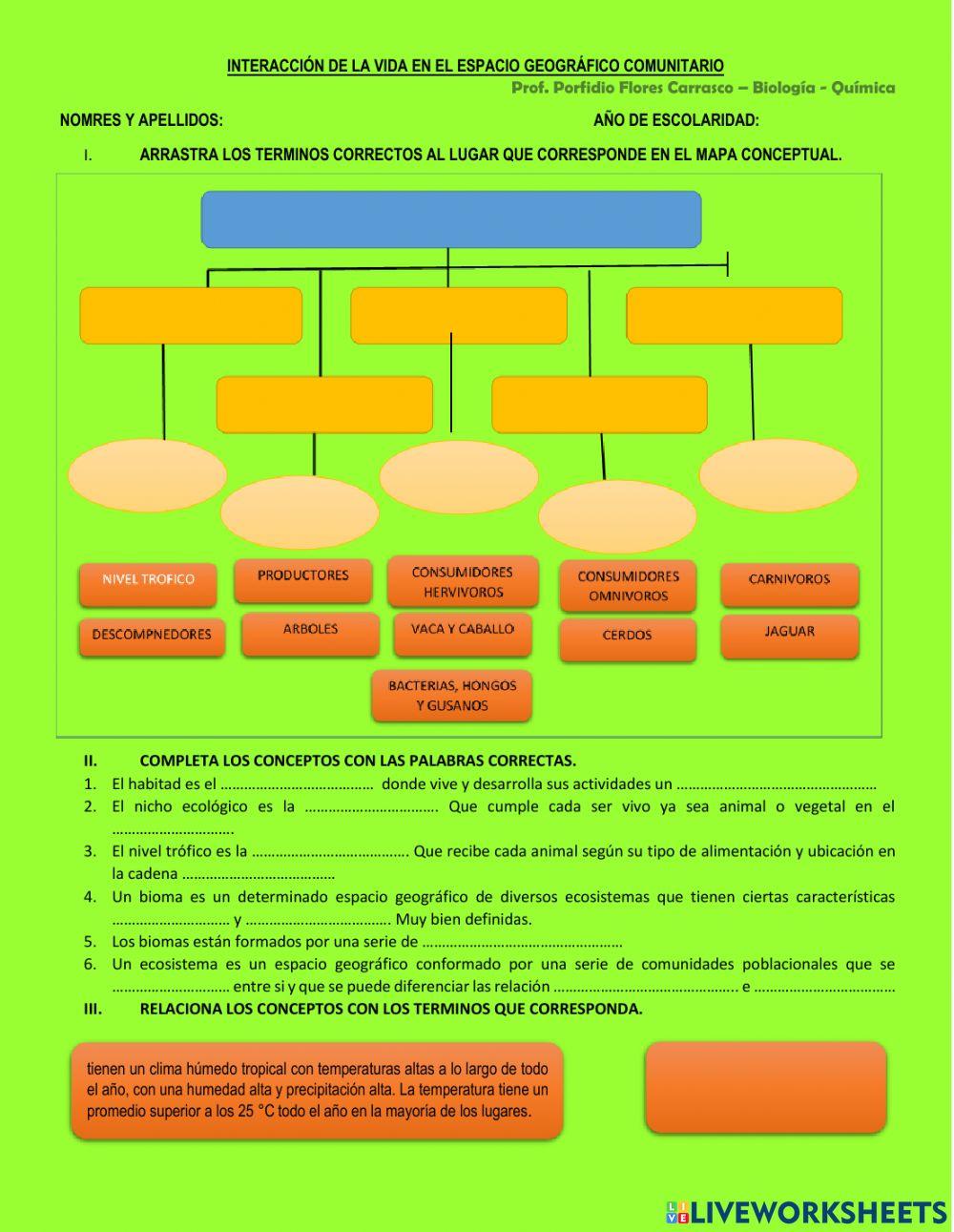 Interacción de la vida en el espacio geográfico comunitario
