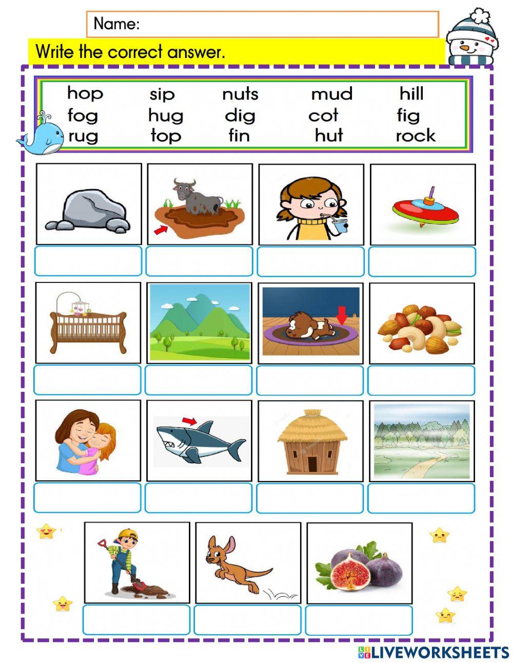 English Year 3 Phonics 4 (short vowels 3)