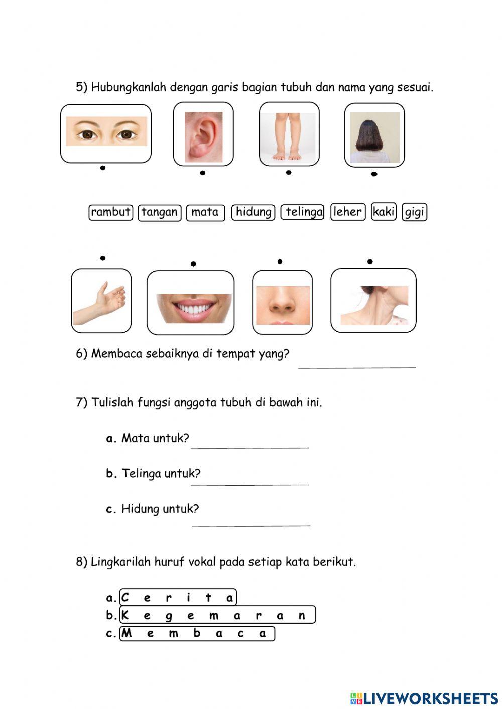 Jimmy Huang Bahasa Indonesia