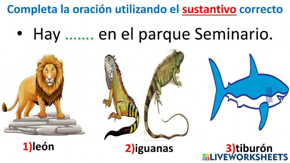 Sustantivos