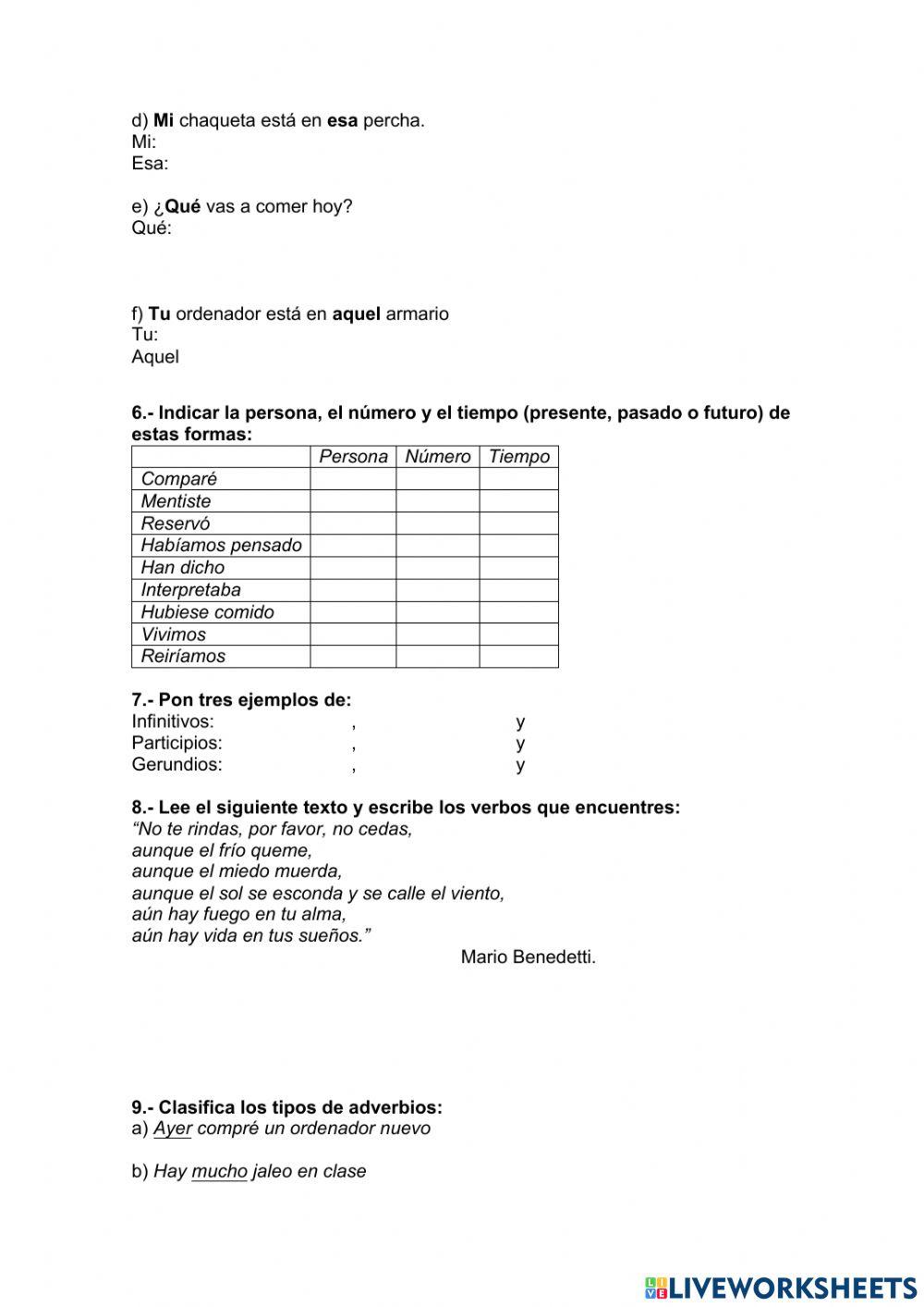 Tipologías gramaticales