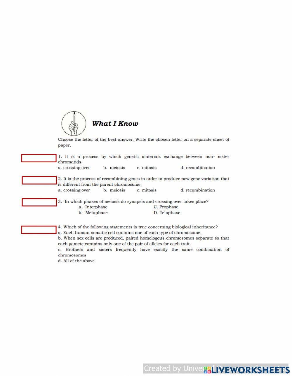 Meiosis & Crossing Over  (What I Know)