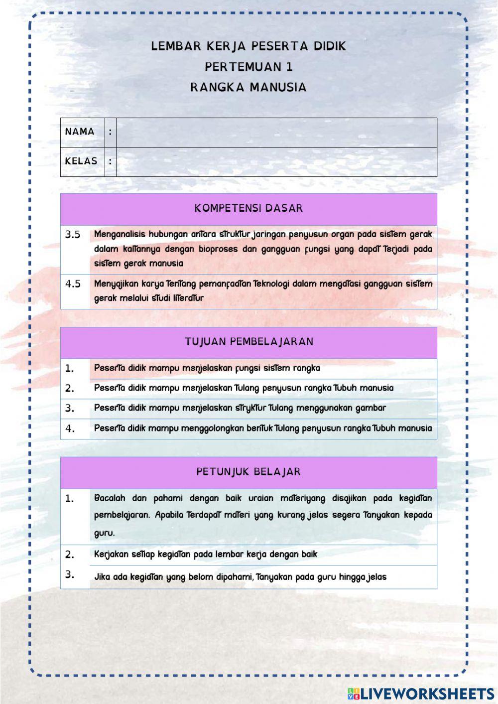Sistem gerak manusia