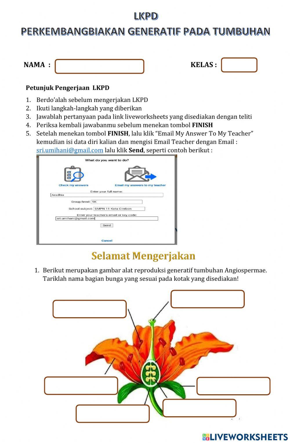 Perkembangbiakan Generatif Tumbuhan