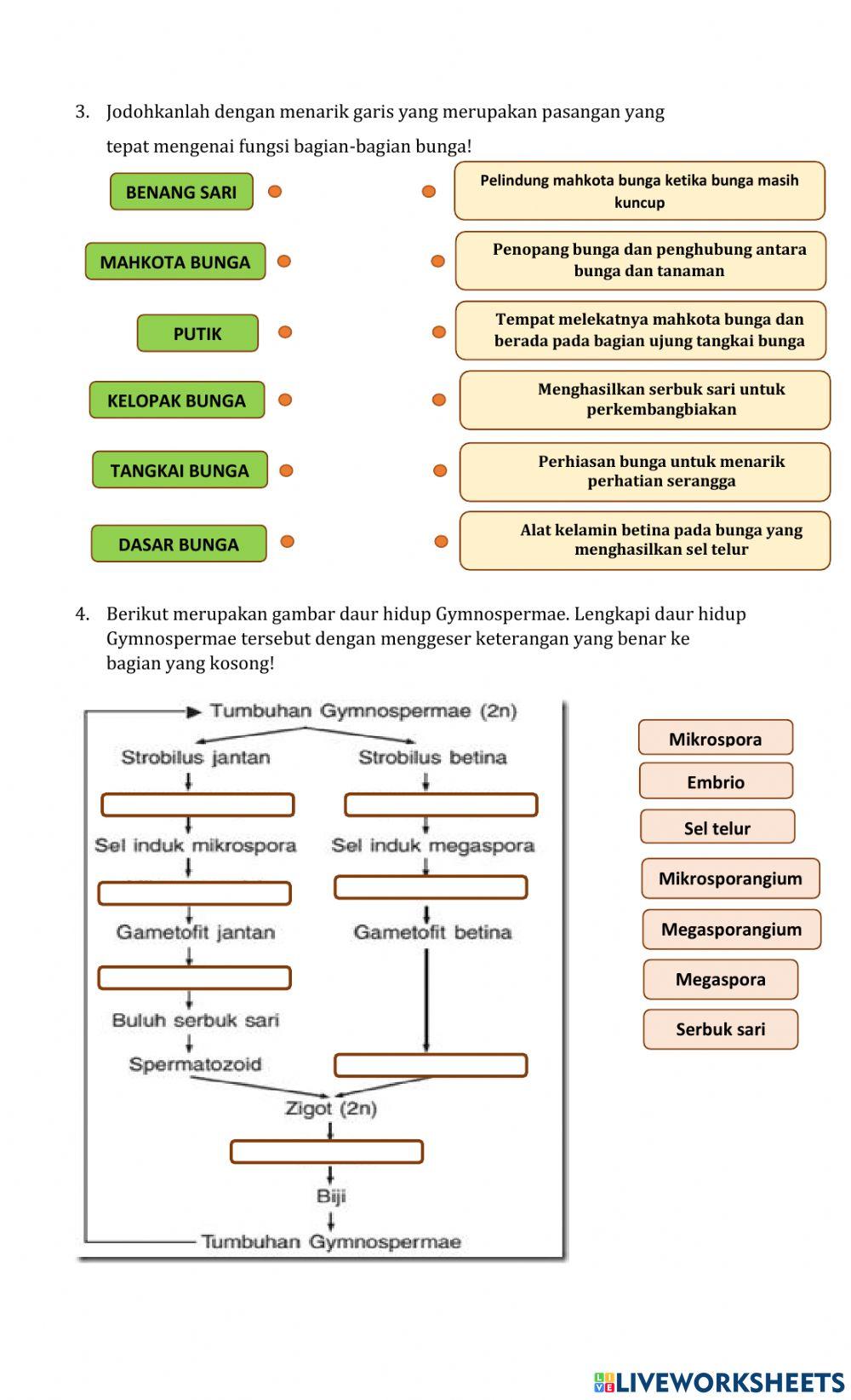 Perkembangbiakan Generatif Tumbuhan