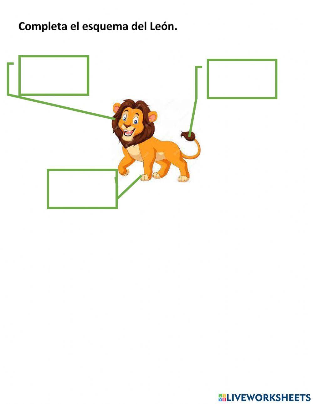 Texto informativo. Los leones