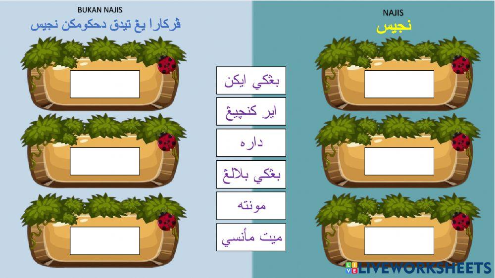 Najis dan perkara yang tidak dihukumkan najis
