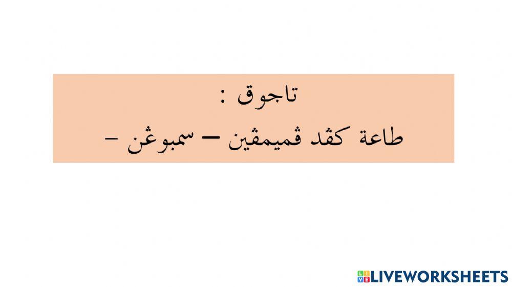 Taat Kepada Pemimpin ( Sambungan)