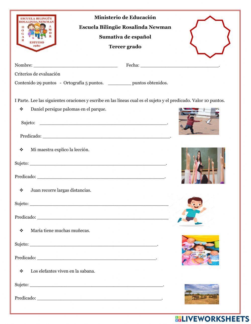 Sintagma nominal y verbal