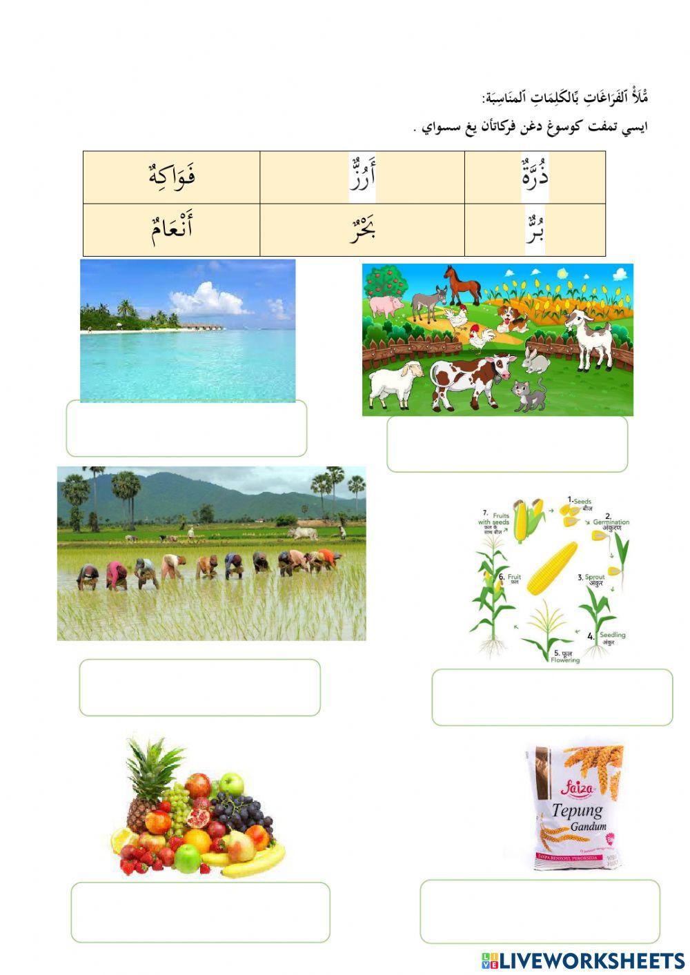 Muka bumi dan isinya