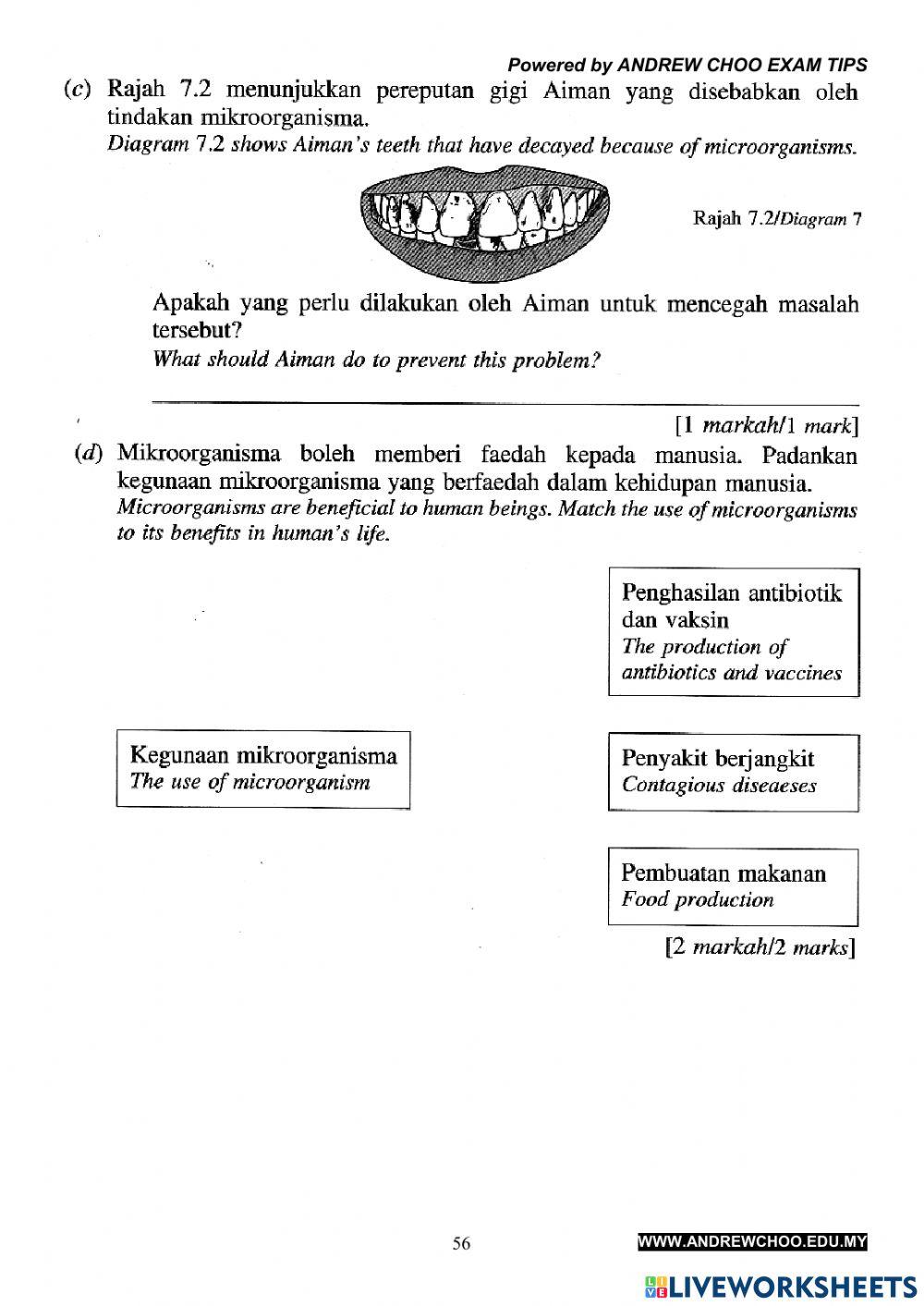 Y6 - Contoh Peperiksaan Akhir Tahun