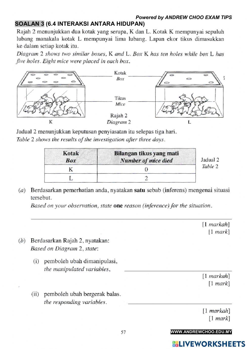 Y6 - Contoh Peperiksaan Akhir Tahun