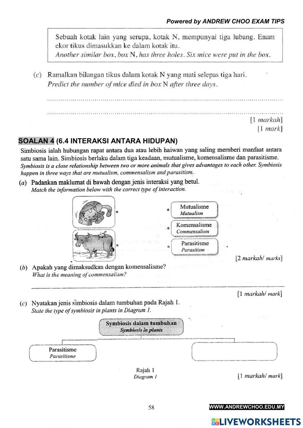 Y6 - Contoh Peperiksaan Akhir Tahun