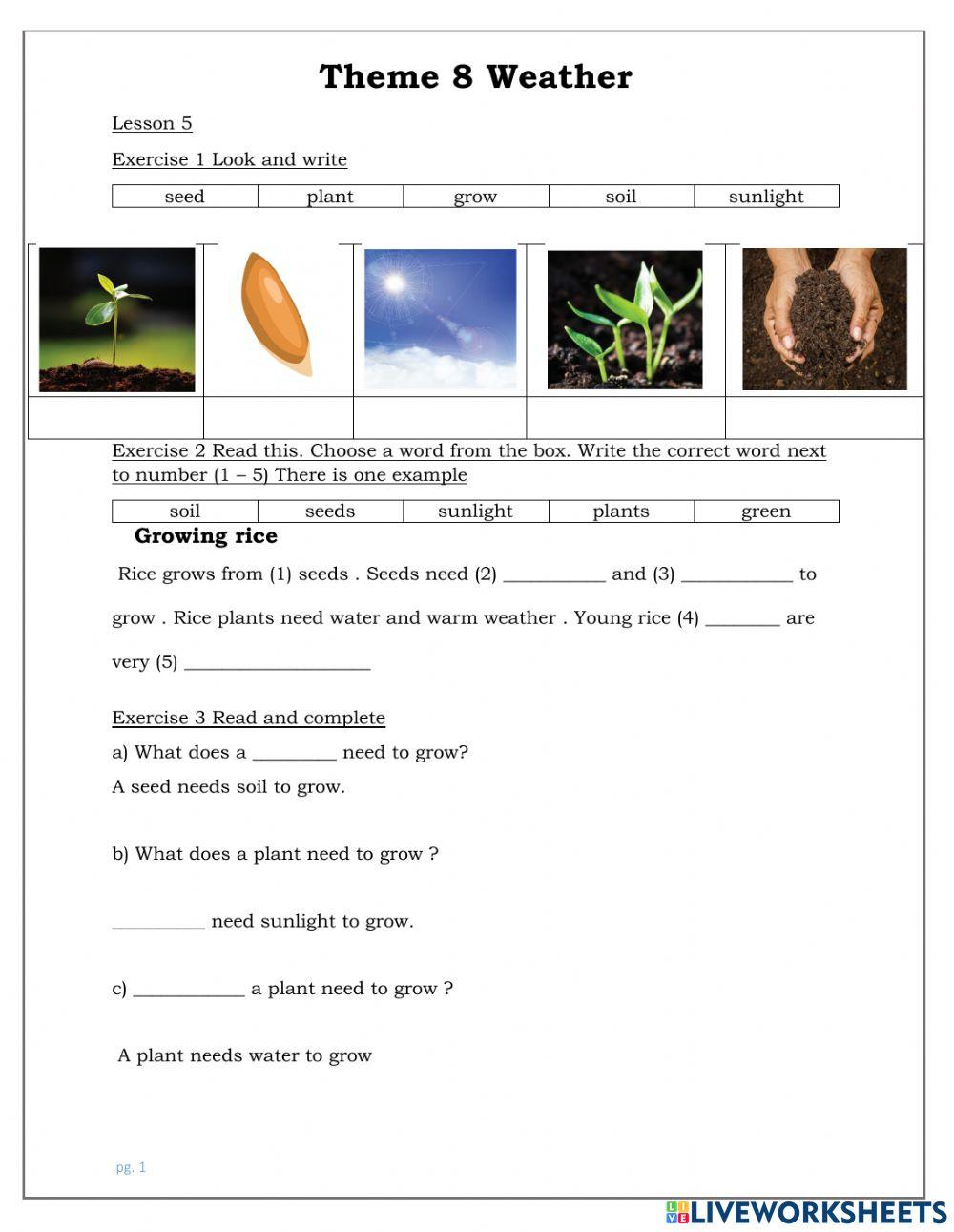 Smart start 3-Theme8-L5