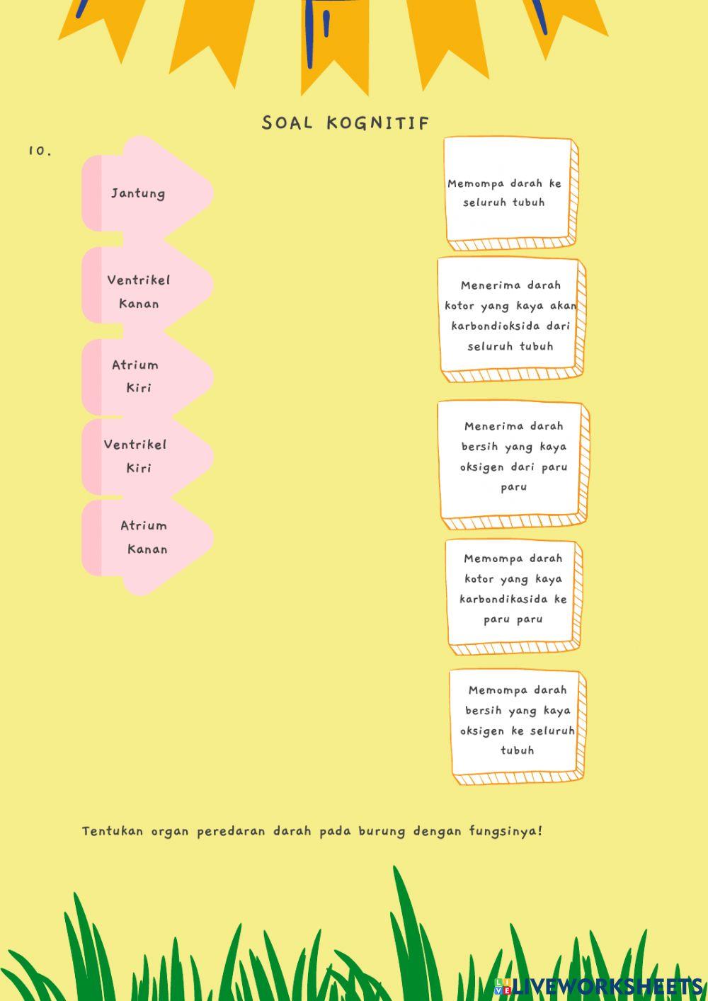 Sistem Peredaran Darah