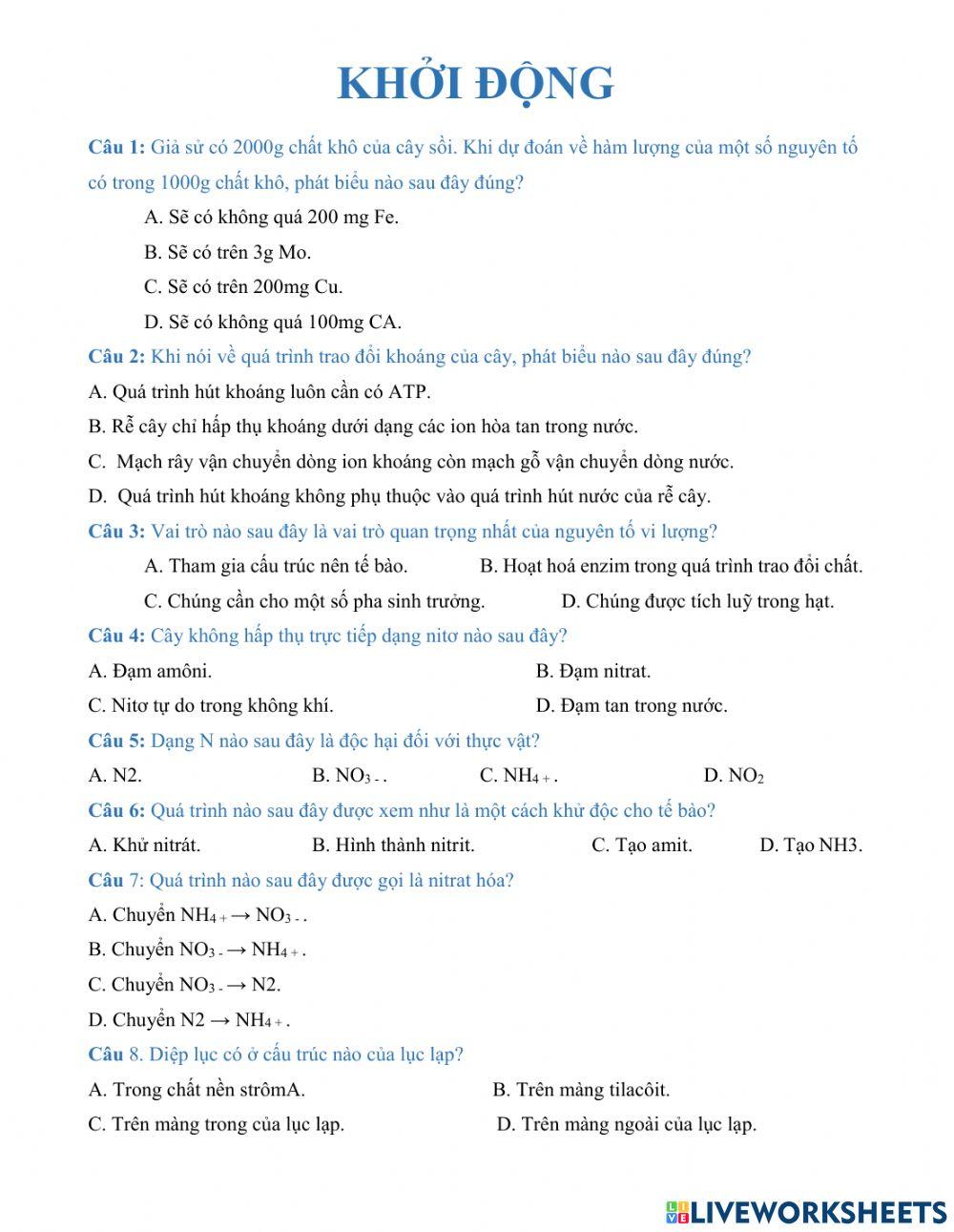 Khởi động sinh 11