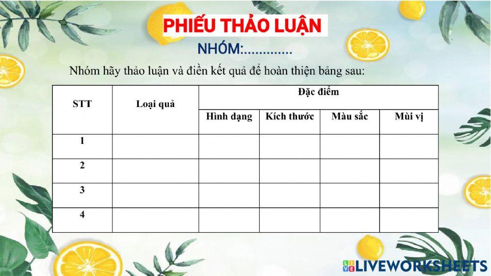 Phiếu thảo luận về quả